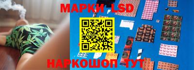 mdpv Рыбинск