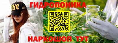 гашик Рязань